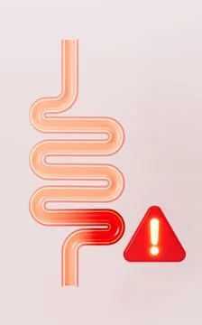 Human intestines, enteritis, intestinal flora imbalance, etc. 3d rendering. Stock Illustration