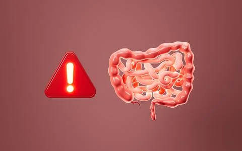 Human intestines, enteritis, intestinal flora imbalance, etc. 3d rendering. Stock Illustration