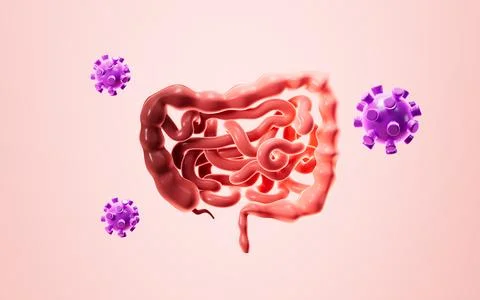 Human intestines, enteritis, intestinal flora imbalance, etc. 3d rendering. Stock Illustration