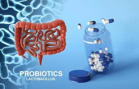Human intestines with probiotics Stock Illustration