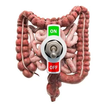 Human intestines with toggle switch. Abdominal pain concept, 3D rendering Illustrazione stock