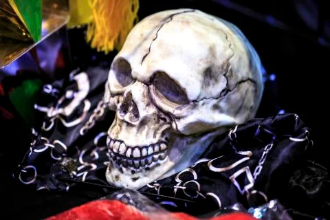 Human ivory skull Stock Photos