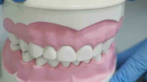Human jaw model in action, close-up Stock Footage 122643940