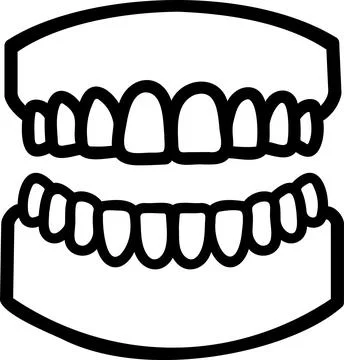 Human jaw model with complete teeth set row Stock Illustration