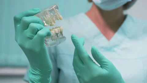 Human jaw model. Stock Footage 139451763