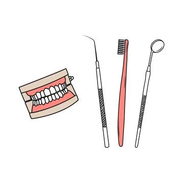 Human jaws model. Teeth instruments for oral hygiene Stock Illustration