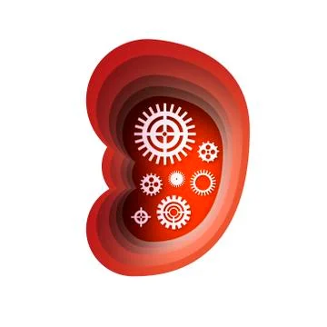 Human kidney with gears and cogs working together in paper cut style. Origami Stock Illustration