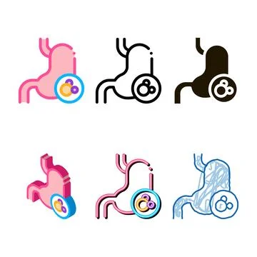 Human kidney icon vector stylized outline Stock Illustration