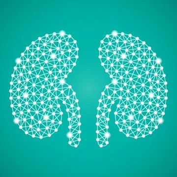 Human Kidney Isolated On A Black Background. Vector Illustration. Stock Illustration