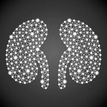 Human Kidney Isolated On A Blue Background. Vector Illustration. Stock Illustration