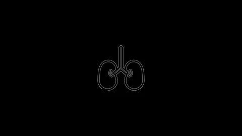 Human kidneys icon isolated on black background. 4K Video motion graphic an.. Stock Footage 306558017