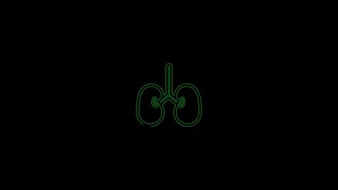Human kidneys icon isolated on black background. 4K Video motion graphic an.. Stock Footage 306558018