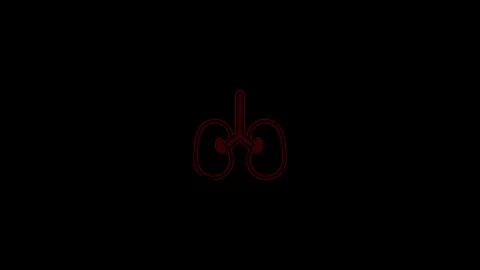 Human kidneys icon isolated on black background. 4K Video motion graphic an.. Stock Footage 306558022