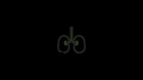 Human kidneys icon isolated on black background. 4K Video motion graphic an.. Stock Footage 306558023