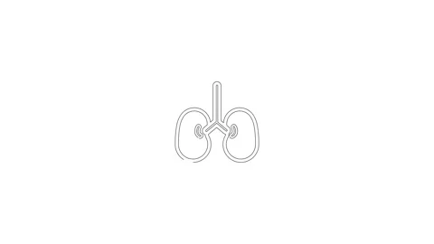 Human kidneys icon isolated on white background. 4K Video motion graphic an.. Stock Footage 306558015