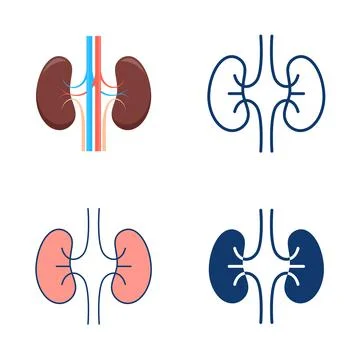Human kidneys icon set in flat and line style Illustrazione stock