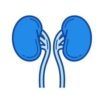 Human kidneys line icon. Stock Illustration