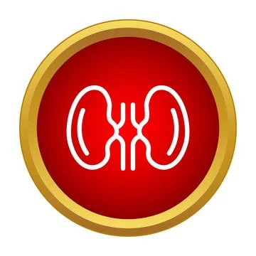 Human kidneys outline icon in red gold circle 스톡 일러스트