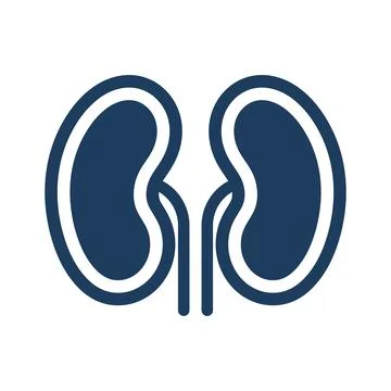 Human kidneys vector icon isolated on a white background Ilustração Stock