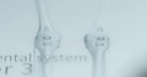 Human knee bones with ligaments study on anatomy app Stock Footage 313623006
