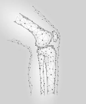 Human knee joint 3d model vector illustration. Low poly design future technol Illustrazione stock
