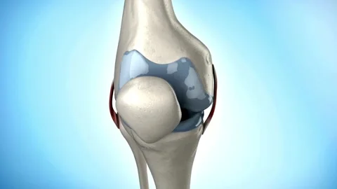 Human knee joint anatomy 3D rotation on blue background Stock Footage 332870312
