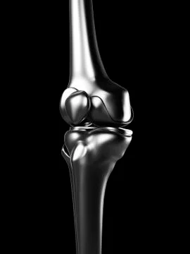 Human knee joint, artwork Stock Illustration