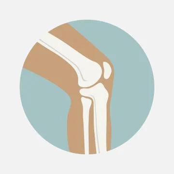 Human knee joint Stock Illustration
