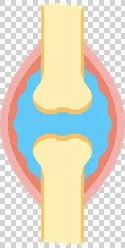 Human Knee Structure. Simple Diagram Illustration Stock Illustration