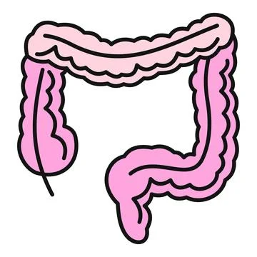 Human large intestine icon representing digestive system Stockillustratie