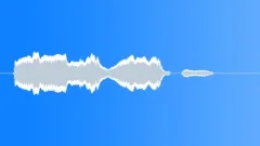 Human laughSound Effect