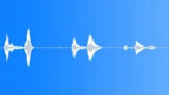 Human laugh Sound Effect