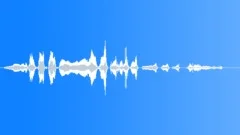 Human laughSound Effect