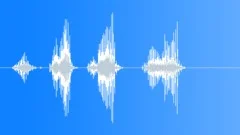 Human laughSound Effect