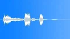 Human laughSound Effect