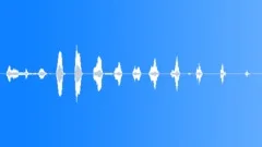 Human laugh Sound Effect