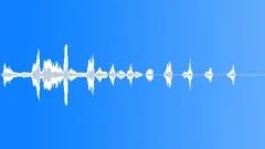 Human laugh Sound Effect