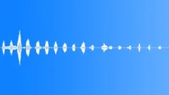 Human laugh Sound Effect