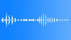 Human laugh Sound Effect
