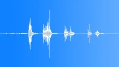 Human laugh Sound Effect