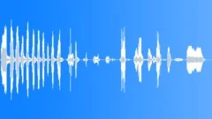 HUMAN, LAUGH Sound Effect