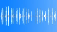 HUMAN, LAUGH Sound Effect