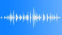 HUMAN, LAUGHSound Effect