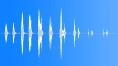 HUMAN, LAUGHSound Effect