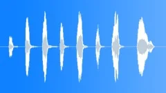 HUMAN, LAUGHSound Effect