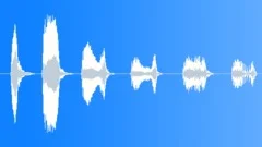 HUMAN, LAUGHSound Effect