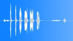 HUMAN, LAUGHSound Effect