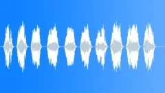 HUMAN, LAUGHSound Effect