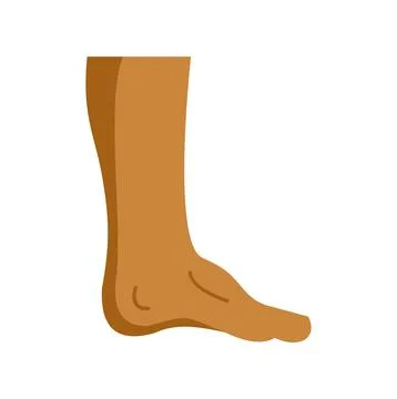 Human leg and foot flat vector icon Stock Illustration