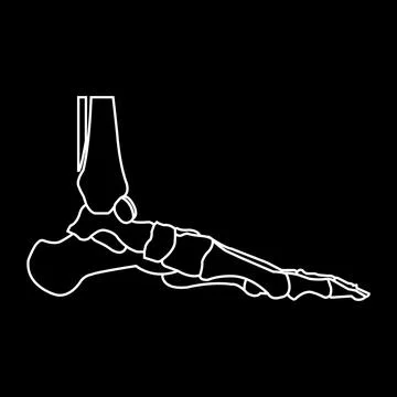 Human leg bones icon イラスト素材